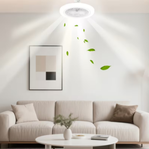 Remote-Controlled Ceiling Fan Light